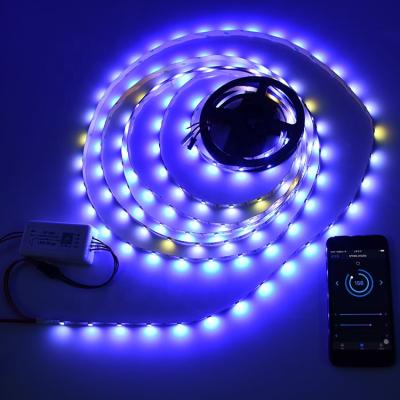 China Outdoor decoration holiday show home app control sk9822 led strip 30led/m digital accessible led strip alexa music light sync for sale