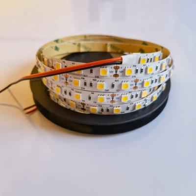 China High CRI version 12v cool white led flexible 5500k Kelvin smd 5050 silicone rubber led strips ribbon light for sale