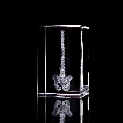 China Global Clear K9 Crystal Block Spine and Skeleton Laser 3d Gifts for Doctor for sale