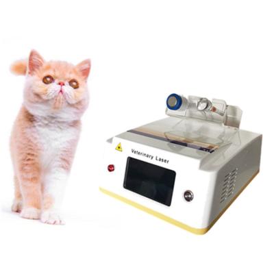 China 2021 Best Selling Physiotherapy Veterinary Surgery and Therapy 980nm Laser Veterinary Physiotherapy for Vet and Clinic Use for sale