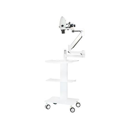 China Dental CE LED Regional Professional Surgical Operation and Dental Endodontic with Digital Camera Zoom Microscope Dental Dental Equipment for sale