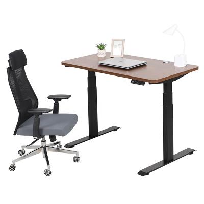 China Sit Stand Up Table Oak Double Motor Height Adjustable Standing Desk (Height) for sale