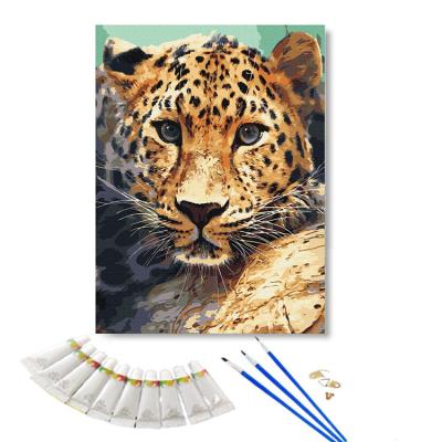 China Wholesale CLASSIC Diy Painting By Numbers Animal Leopard Acrylic Oil Painting Sets Art Painting By Numbers For Home Wall Art Picture for sale