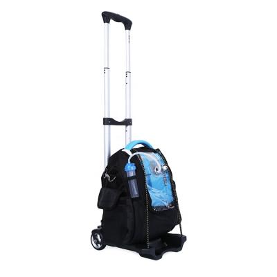 China Mobile Portable Ambulance Use Zeolite Molecular Sieve Oxygen Concentrator in Nepal Low Price Sale OLV-B1(NO70) for sale