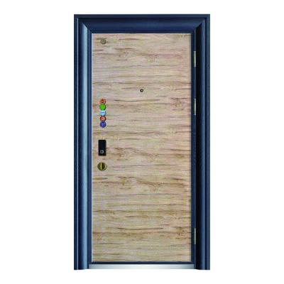 China Iron zinc alloy door new products bathroom kitchen iron door bedroom door warm anti-theft iron double door for sale