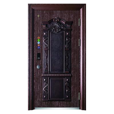 China Bulletproof Classic Exquisite Style Front Door Security Gate For Residential Exterior for sale