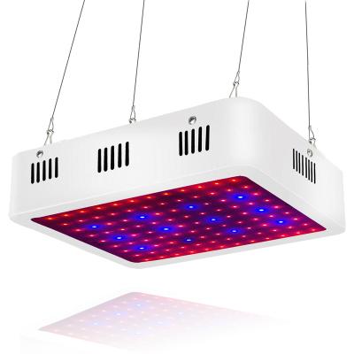 China Seed Seed Seeding 1000W Full Spectrum LED Plants grow light for indoor veg and flower ready in stock in Europe&America for sale