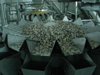 Cina Pesatore di Multihead della bascula di Multihead per la macchina di rifornimento impermeabile dell'orso gommoso di Candy in vendita