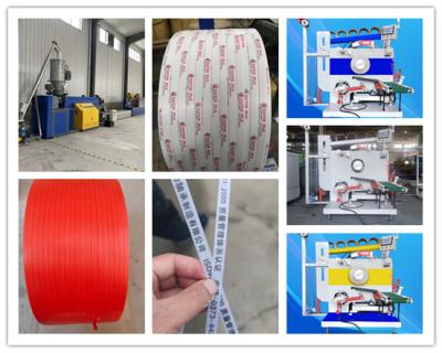 Cina PP strapping belt automatic winding machine/servo winding machine, PP packing belt automatic winding machine, 5-19mm in vendita