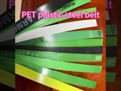 PET plastic steel belt