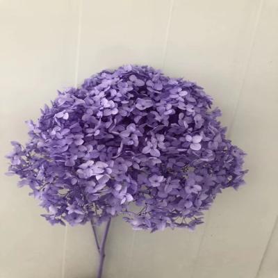 China Popular Gift Design Customized Dried Preserved Flowers For House Decoration for sale