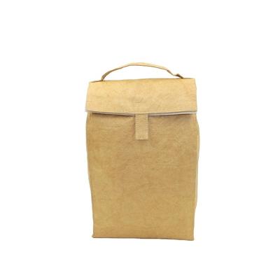 China Wholesale Eco-Friendly Reusable Eco-Friendly Bag Eco-friendly Durable Tyvek Paper Lunch Cooler Snack Box for sale