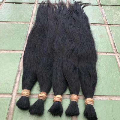 China Indian Raw Hair Bulk No Process Hair Unwefted Bulk Virgin Hair For Braiding Indian Raw Hair Bulk No Process Hair for sale