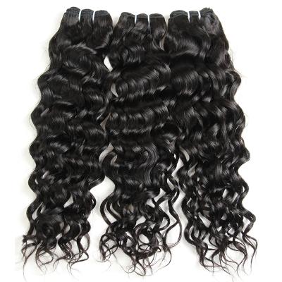 China Water Wave Ms. Mary Brazilian Water Wave Hair 3 Bundles Virgin Wholesale Brazilian Hair Extensions Can Buy 1/2/3 Bundle for sale