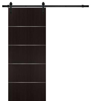 China Modern Black Custom Reliable Fire Protection Factory Supply Interior Barn Door for sale