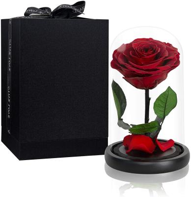 China Preserved Rose In Glass Durable Flowers Preserved Beauty Rose Flower In Glass Dome OEM for sale