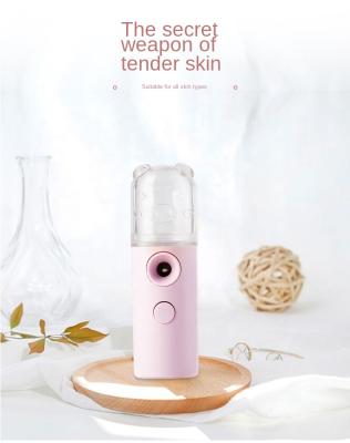 China Moisturizer New Lucky Pig Steaming Face Moisturizer USB Charging Mini Nano Cold Spray Humidification Handheld Portable for sale