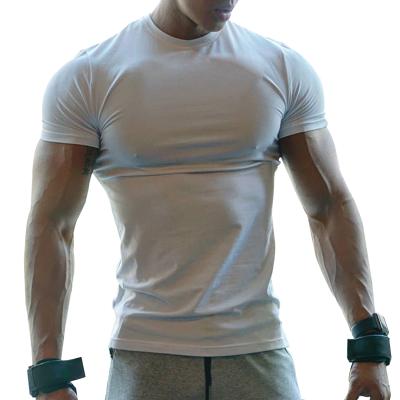 China Antibacterial Mens Sportswear Short Sleeve Fitness Gym Shirt Activewear Organizer And Slim Fit T-shirt for sale