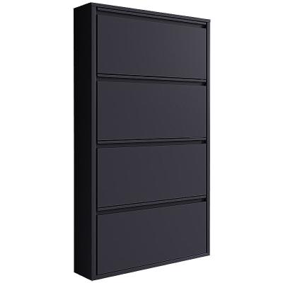 China Adjustable (Height) New Design Family Furniture Metal Racks Shoe Listing Steel Wall Hidden Cabinet for sale