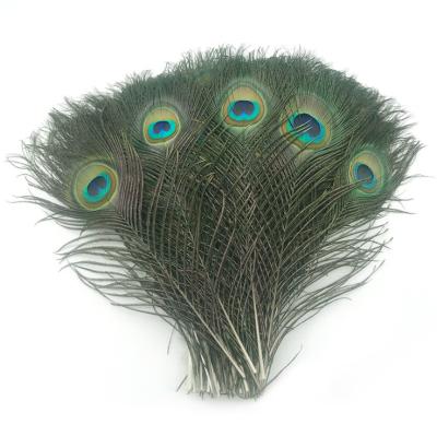 China Peacock feather factory direct sales natural color peacock feather 25-125cm DIY color peacock feather for sale