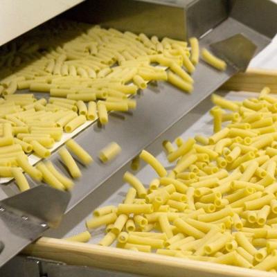 China Pasta Production Line Hot Sale Spaghetti Pasta Production Line For Food Factory for sale