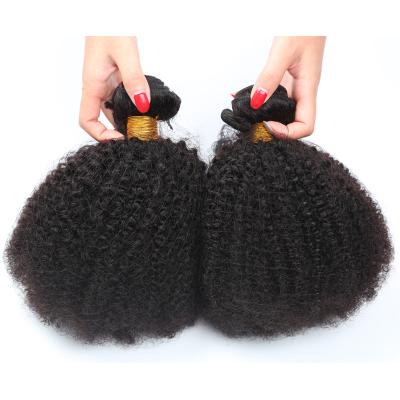 China Alano Virgin Hair Bundle Brazilian Afro Kinky Curly Curly Raw Cuticle Aligned Hair Wholesale Hair Vendor Bundle for sale