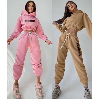 China Autumn Fall Winter Two Piece Women Sweatsuit Pants Two Piece Set Hoodie Long Sleeve Breathable Women Tracksuit for sale