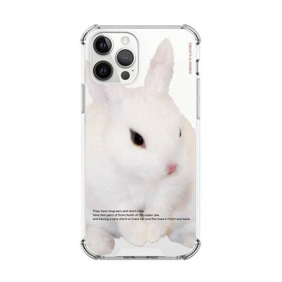 China Cute Camera Lens Protective Anti-fall Fashion Transparent Silicone Phone Case For iPhone 11 for sale