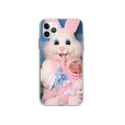 China 2021 Anti-fall Fashion Rabbit Case For Mobile Phone Soft Phone Cover For iPhone 13 Pro Max for sale