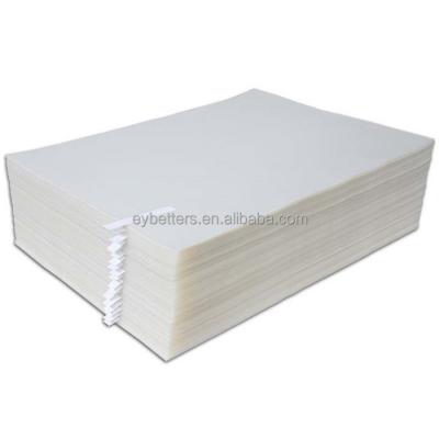 China Apparel Roll Dtf Pet Films 30cm 33cm 60cm Sheets Hot / Cold Skin 75U Thickness PET Release Film For Dtf Screen Printing for sale