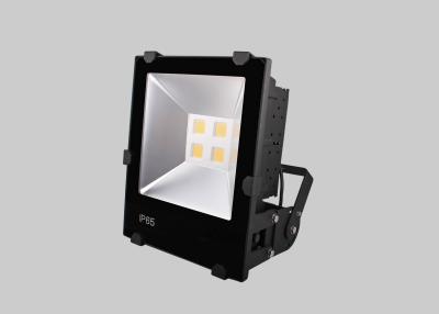 China Hohe Helligkeits-Reflektor PFEILER LED Flut-Lichter 100w 100LM/W mit Bewegungs-Sensor zu verkaufen