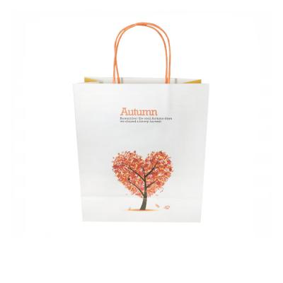 China Gloss Logo Luxury Cheap Printing Recyclable Custom Foldable Shopping Paper Bag for sale