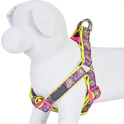 China DETACHED Purple Paisley Flower Printing Neoprene Padded Dog Harness for sale