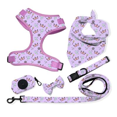 China Custom Padded Harness Dog Pet Sets Colorful And Solid Color Any Picture for sale