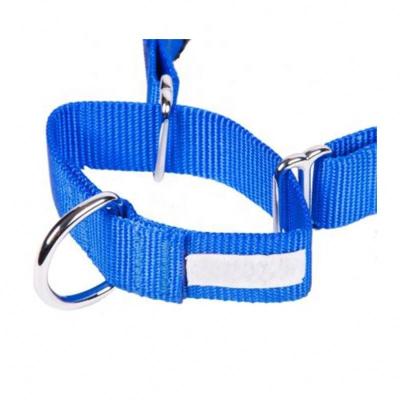 China Best Selling DETACHED MARTINGALE DOG COLLARS Customized Nylon Quick Release With Excellent Quality All Seasons Stocked for sale