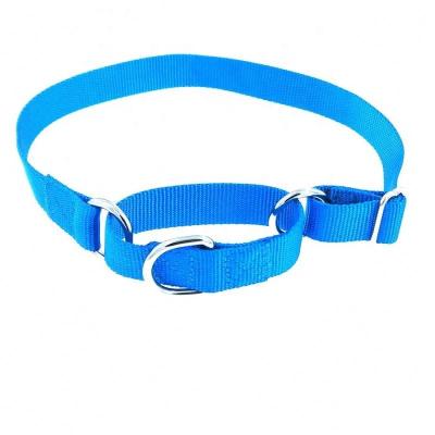 China Amazon Wholesale Best Selling DETACHED Martingale Slip Resistant Nylon Dog Collar For Dog Training for sale