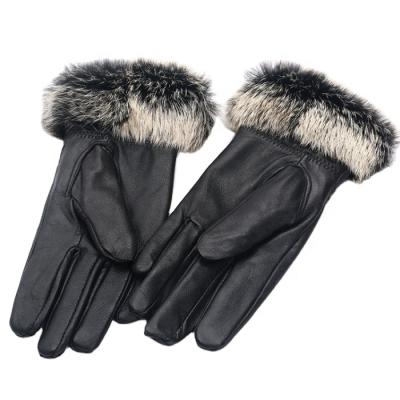 China Rex Rabbit Lady Gloves Winter Fur Touch Texting Warm Women's Leather Gloves Fashion Motor Gloves for sale