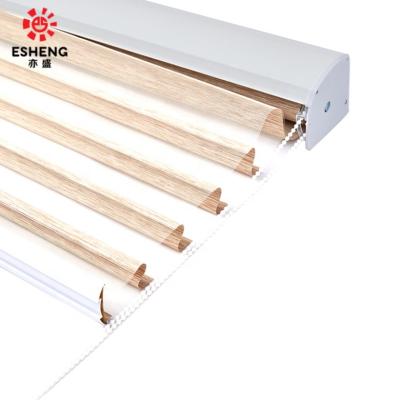 China Minimalist Waterproof Electric Window Roller Blind Shades With Best Price Deer Blind On Sale for sale