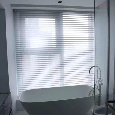 China Minimalist Portable Manual Blackout Roller Shade China Shangri La Triple Blinds for sale