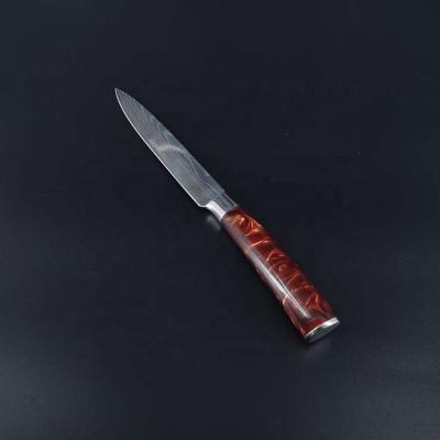 China 3.5 Inch Viable Kitchen Stainless Steel DAMASCUS Factory Chef Universal Vegetable Cutting Fruit Paring Knife for sale