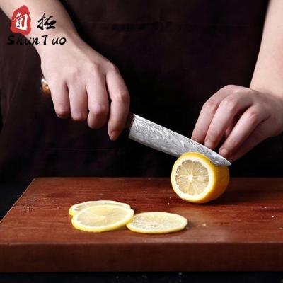 China 67 Inch Sustainable Kitchen Fruit vg10 Damascus Layer 3.3 Stainless Steel High Carbon Resin Peeling Paring Knife for sale