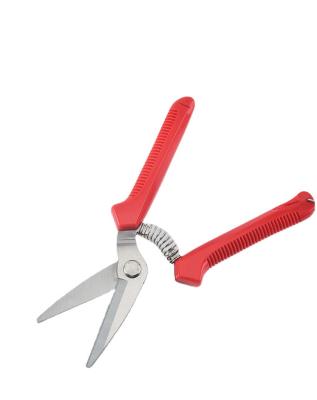 China Bonsai plant trimming scissors carton cut shear easy to cut with aluminum handle pvc handle prunner shear anvil pruner for sale