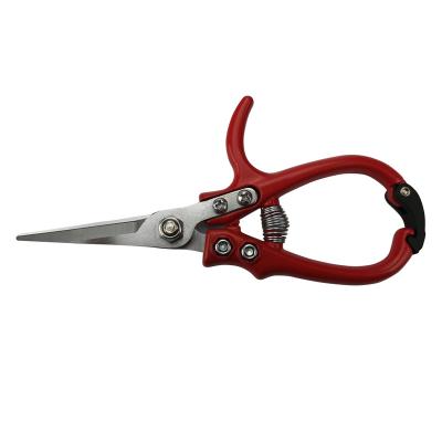 China Bonsai Plant Trimming Scissor Aluminum Cutting Shear Easy To Cut With Aluminum Handle PVC Handle Prunner Shear for sale