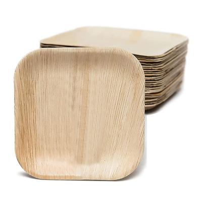 China 10 Inch Square Biodegradable Palm Leaf Dish Biodegradable Palm Leaf Dishes for sale