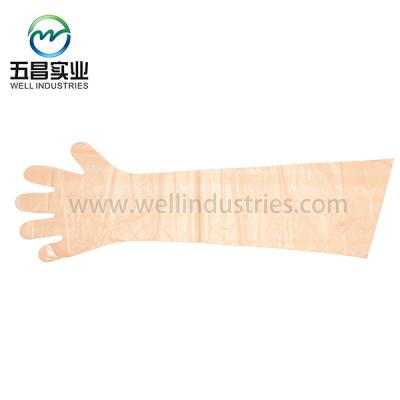 China LDPE PE Series Gloves Vet / Shoulder Length Glove for sale