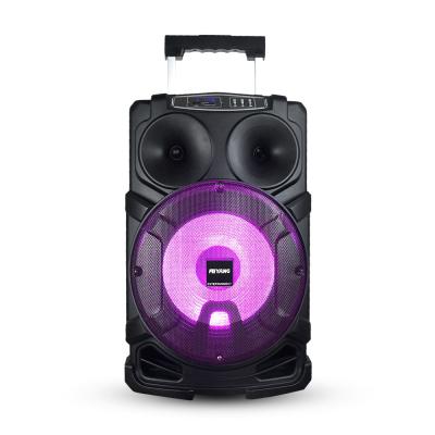 China None Feiyang 12 Inch Trolley PA Trolley Party Wireless Portable Party Music Speaker Home System TWS High Fidelity Stereo Speaker FG12-01 for sale