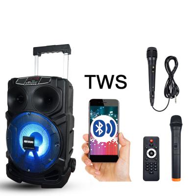 China No Feiyang Trolley PA Stereo System 8 Inch TWS/USB Portable Outdoor Professional Audio Partybox Wireless Bass Speaker FG08-01 for sale