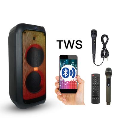 China Video Call Feiyang Outdoor Speaker Powered Dual 8inch BT TWS 30W FG208-13 Wireless Fire Effect Ignition Speakers for sale