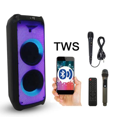 China No New Arrival Flame Light Private Model 10 Inch Party Disco Portable Home Speaker Dual Wired Large Wireless Outdoor Speaker FG210-08 for sale