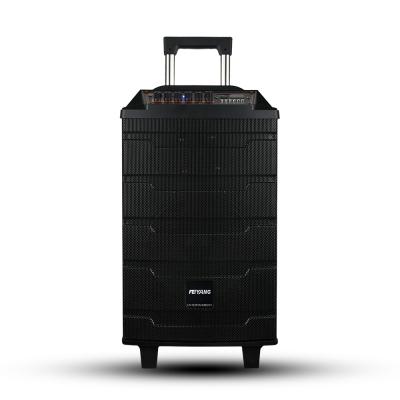 China No Professional PA Speaker FEIYANG 10inch Wooden Trolley Case BT Function With Remote QF10-01 Wireless MIC Rechargeable Battery for sale